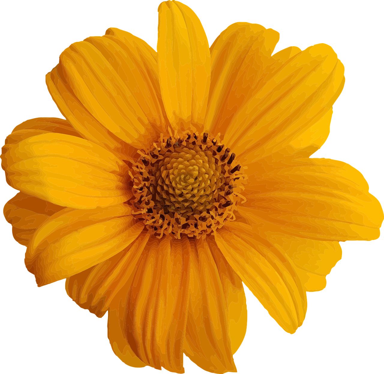 logo de la web, flor naranja